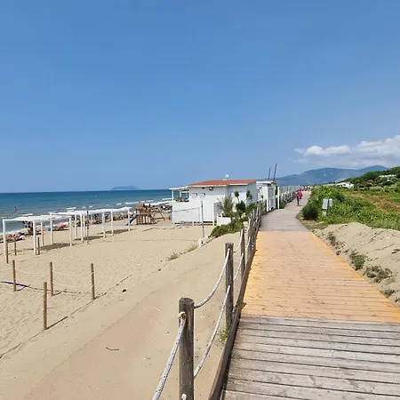 Cecilia Sul Fronte Mare * スペルロンガ